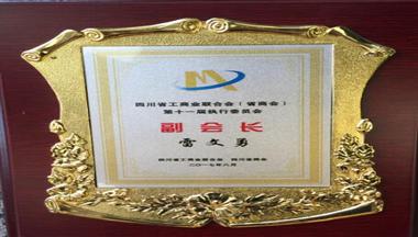 雷文(wén)勇再次當選四川省商(shang)會副會長(zhang)