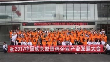 2017中(zhong)國(guo)成(cheng)長(zhang)型蛋雞齊(qi)業産(chan)業髮(fa)展(zhan)大(da)會在(zai)蓉舉行